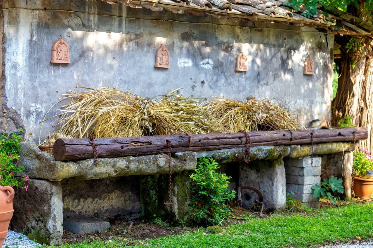 Il Castelletto Del Salamaro Витербо Экстерьер фото